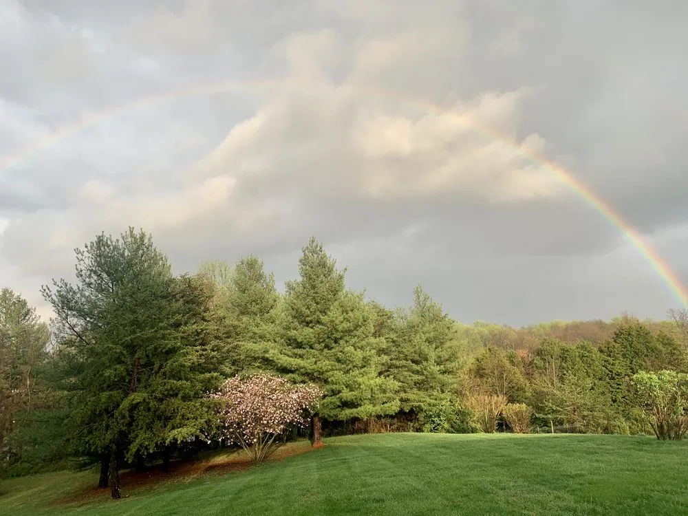 Professional landscaping services for beautiful yards in Corydon, IN by Saulman Property Improvement