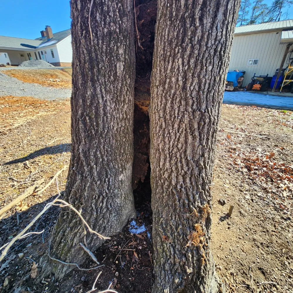 Expert landscape installation near you in Pigeon Forge, TN by Sauls Land Management