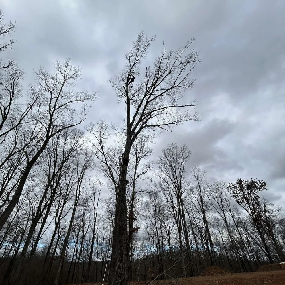 Local landscaping services experts serving Pigeon Forge, TN - Sauls Land Management