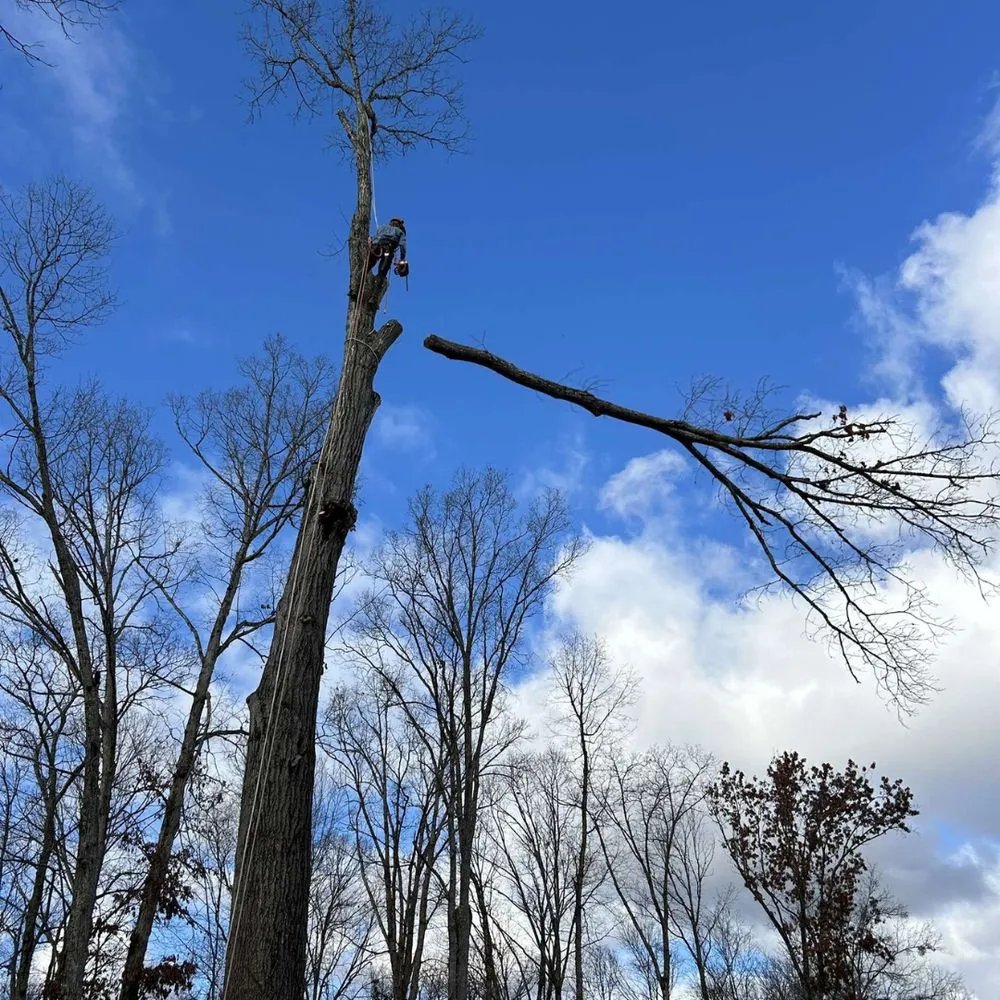 Local garden landscaping experts serving Pigeon Forge, TN - Sauls Land Management