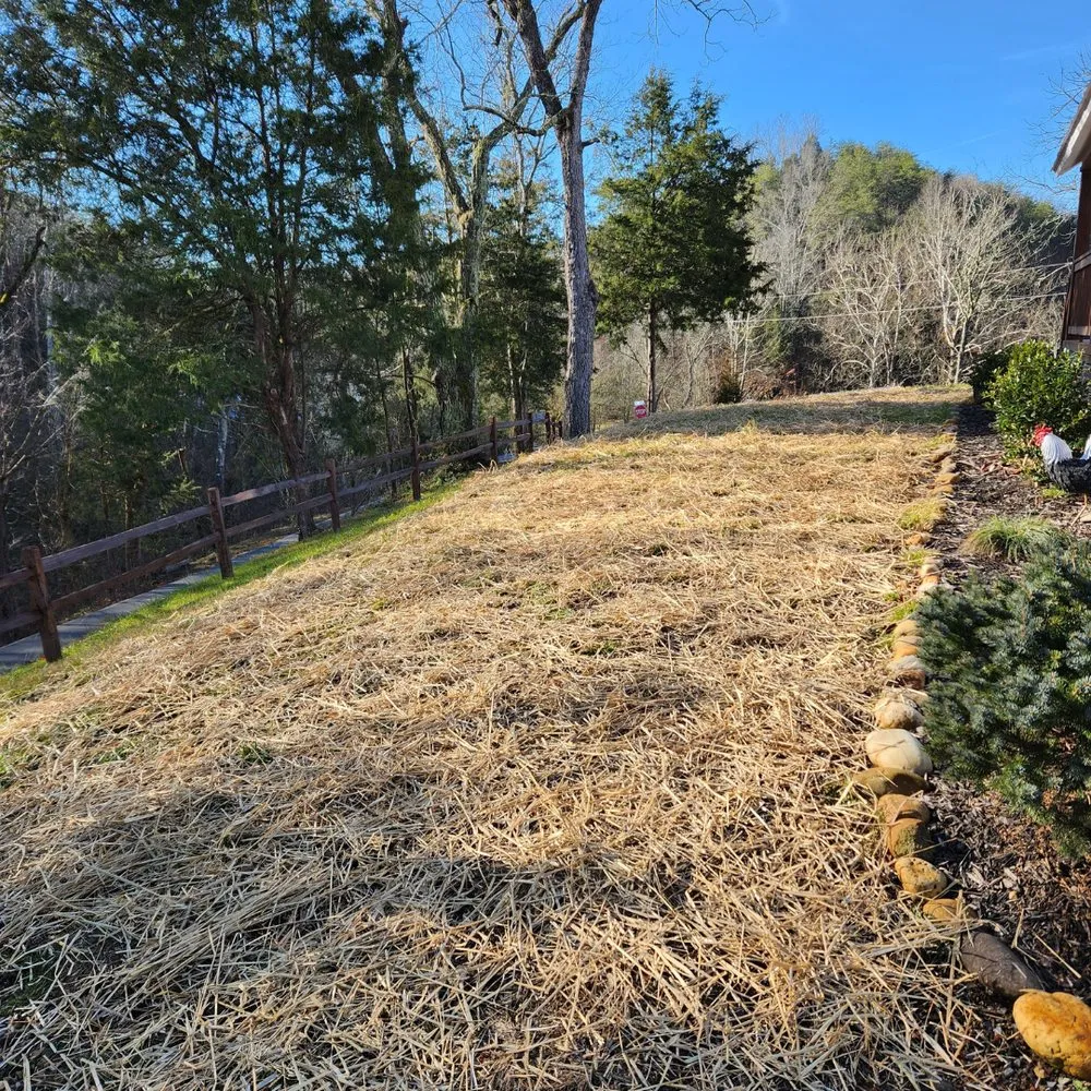 Professional yard maintenance for outdoor upgrades in Pigeon Forge, TN by Sauls Land Management