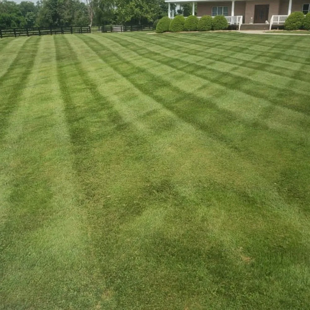 Reliable lawn mowing service in Pigeon Forge, TN by Sauls Land Management