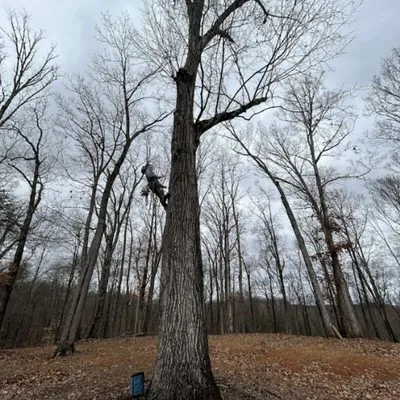 Sauls Land Management Logo