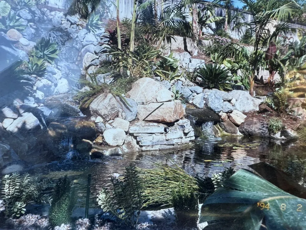 Expert yard cleanup service for year-round maintenance across Vista, CA - Sauls Landscaping & Maintenance