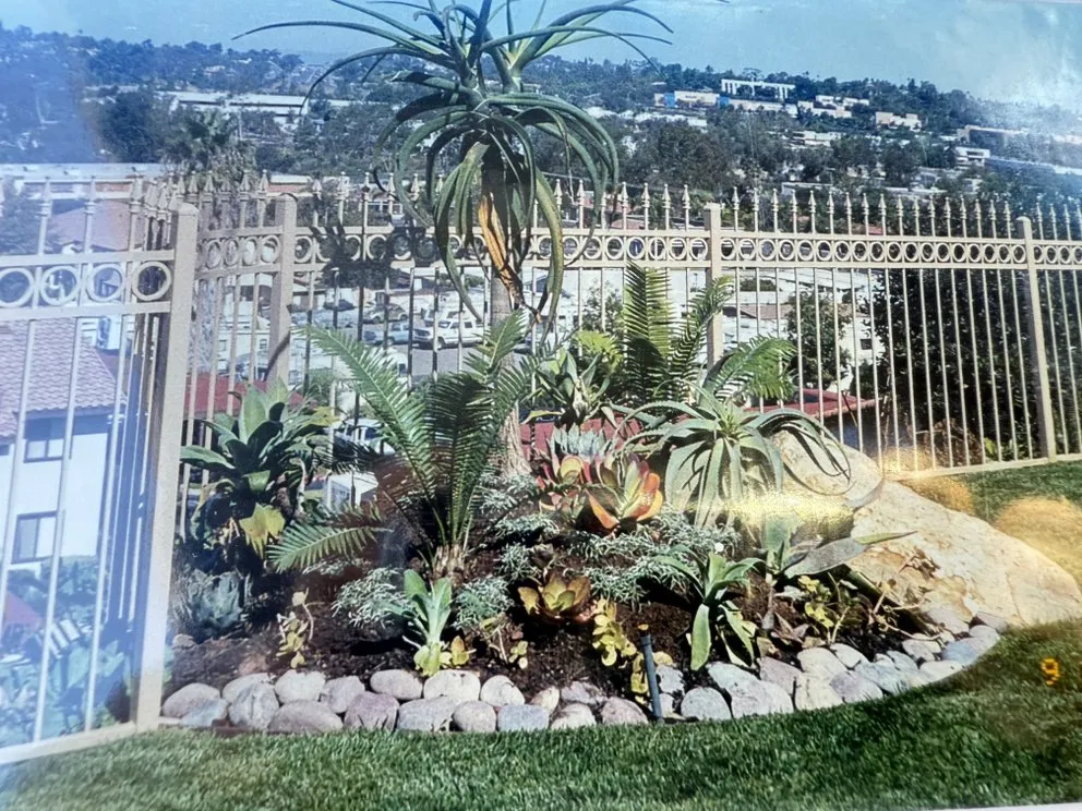 Top-rated lawn care service in Vista, CA - Sauls Landscaping & Maintenance