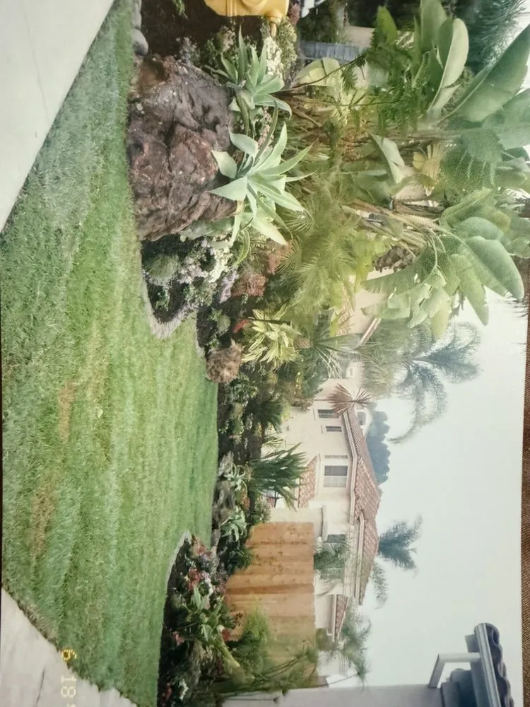 Trusted outdoor landscaping near you across Vista, CA - Sauls Landscaping & Maintenance