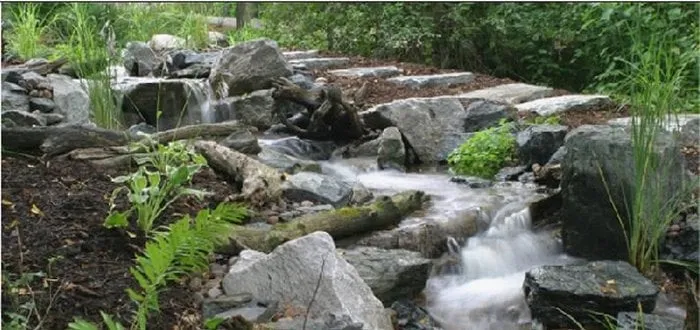 Affordable landscaping services near you across Novato, CA - Saunders Designs