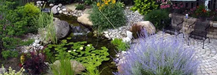 Trusted landscape installation for residential properties in Novato, CA by Saunders Designs