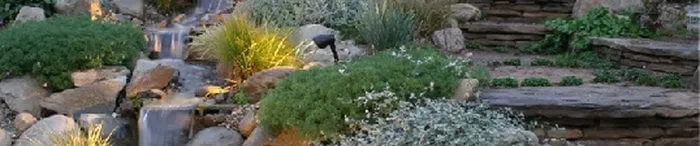 Affordable lawn care service with custom design across Novato, CA - Saunders Designs