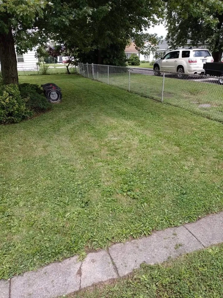 Reliable residential landscaping experts serving Kokomo, IN - Saunders Family Mowing Services