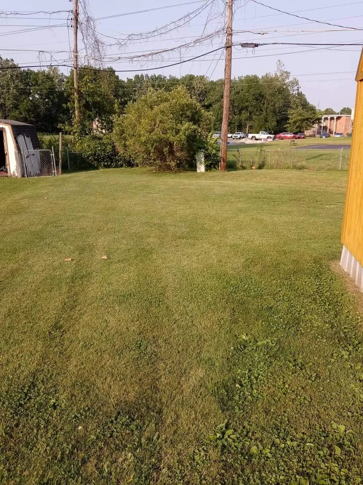 Affordable lawn care service in Kokomo, IN by Saunders Family Mowing Services