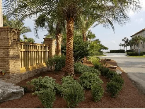 Expert yard maintenance in Saint Simons Island, GA - Saunders Landscape Services