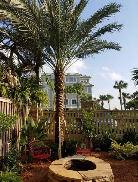 Custom landscape design in Saint Simons Island, GA by Saunders Landscape Services