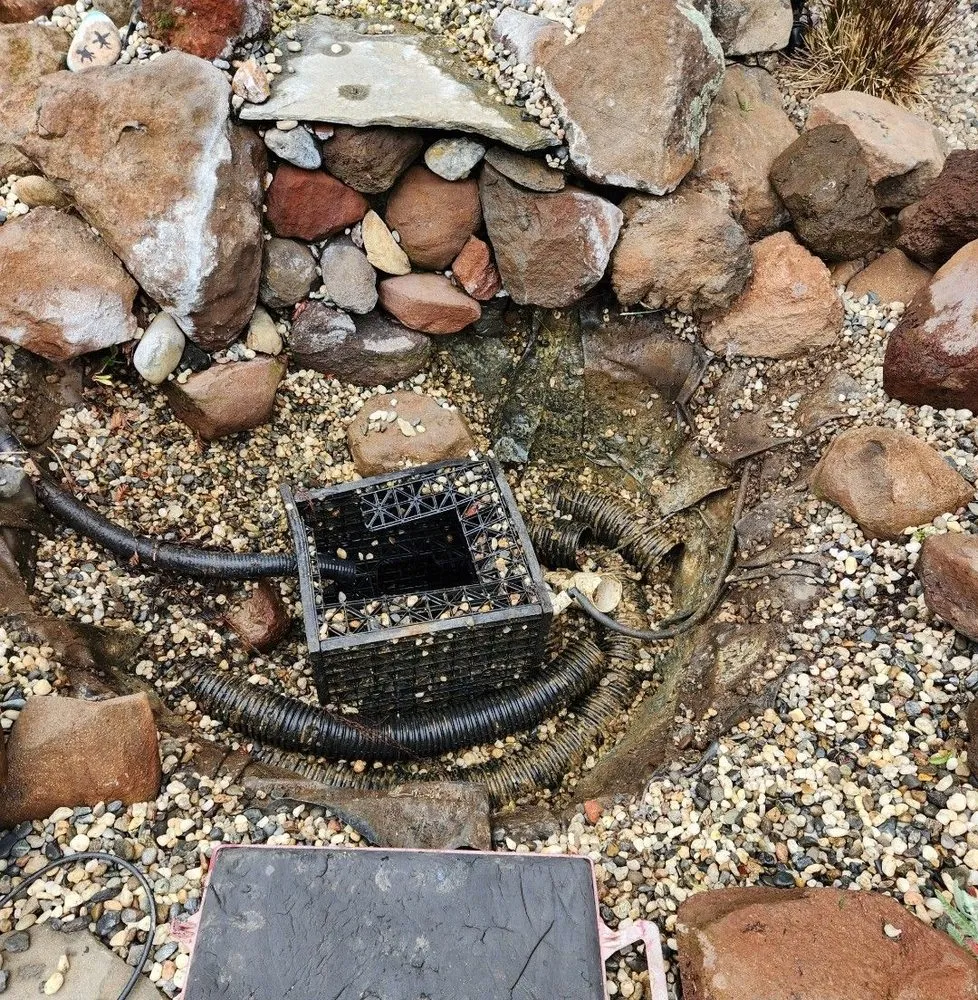 Expert landscape design in Sacramento, CA - Saunders Landscaping Construction