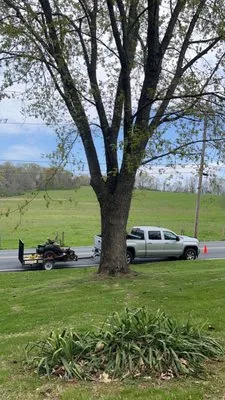 Saunders Lawn Care Logo