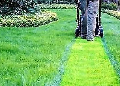 Professional residential landscaping in St. Louis, MO by Saunders Lawn Care