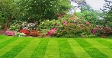 Trusted yard cleanup service in St. Louis, MO - Saunders Lawn Care