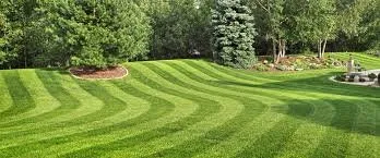 Saunders Lawn Care Logo