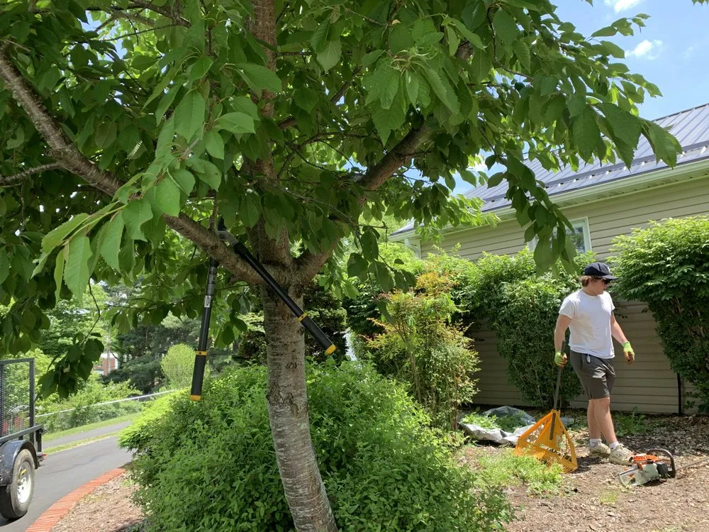 Top-rated residential landscaping experts serving Tazewell, VA - Saunders Lawn Care