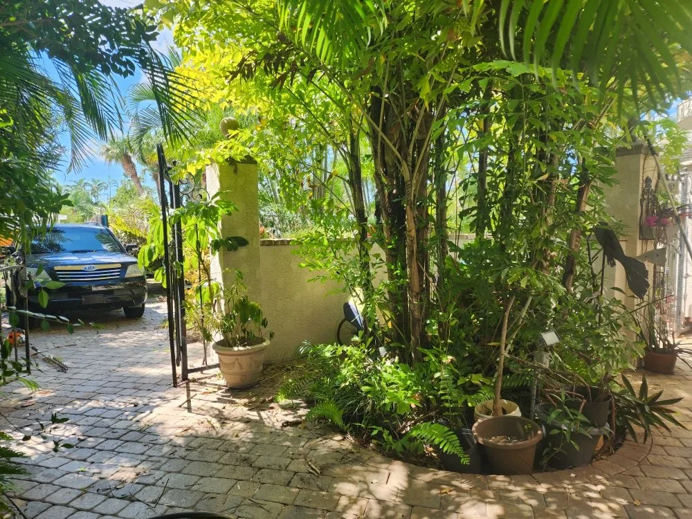 Top-rated lawn mowing service for outdoor upgrades in Seminole, FL by Saunders Property Maintenance