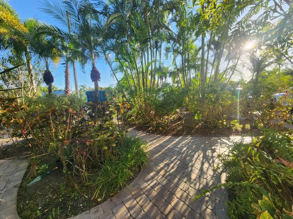 Custom lawn care service in Seminole, FL by Saunders Property Maintenance