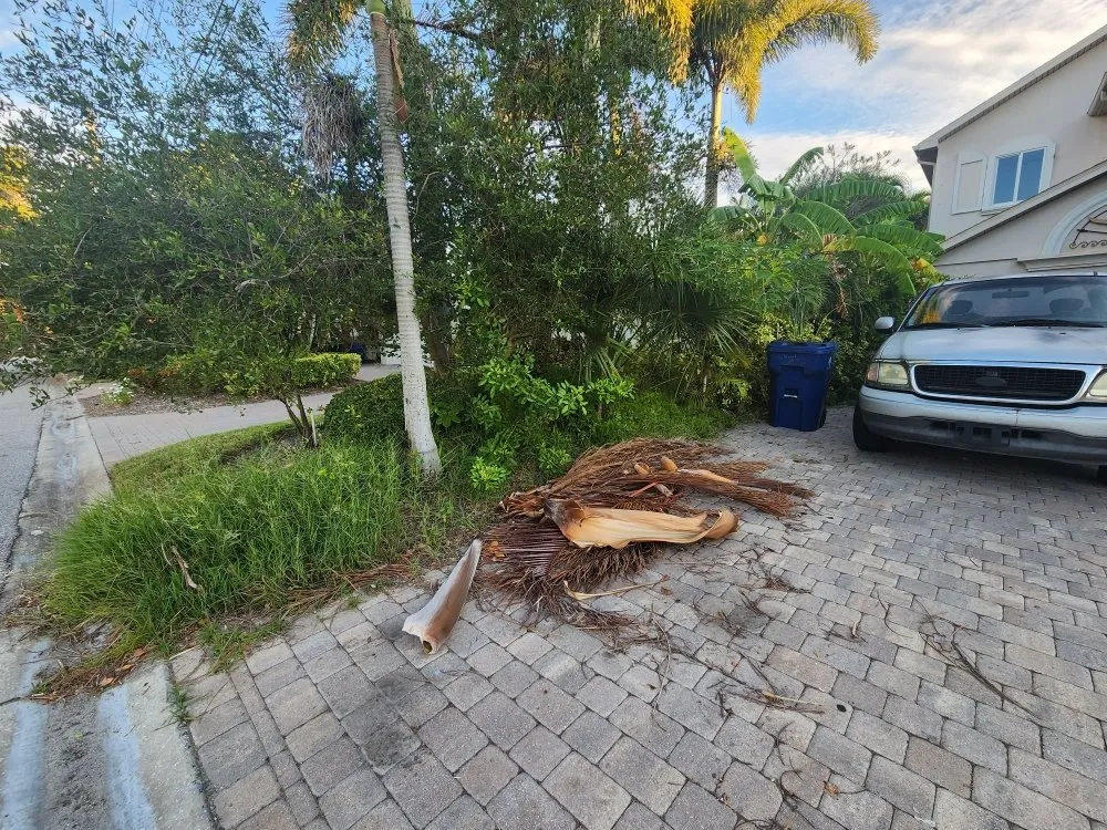 Custom yard cleanup service near you in Seminole, FL by Saunders Property Maintenance