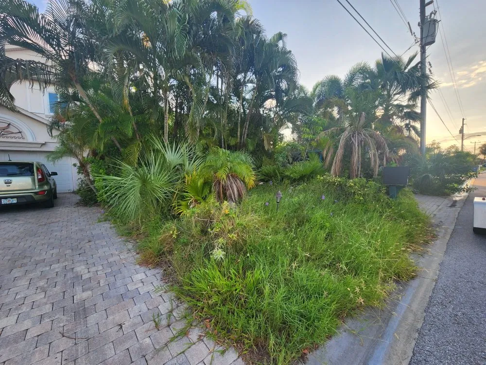 Expert outdoor landscaping for outdoor upgrades in Seminole, FL by Saunders Property Maintenance