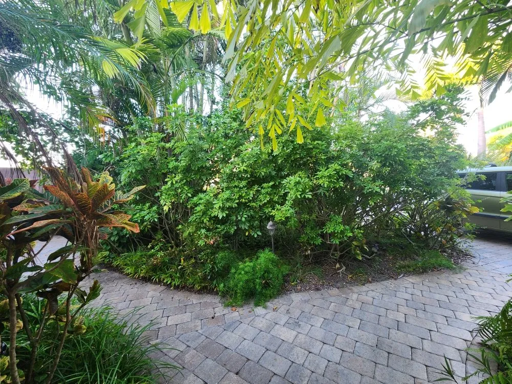 Expert yard cleanup service for residential properties in Seminole, FL by Saunders Property Maintenance