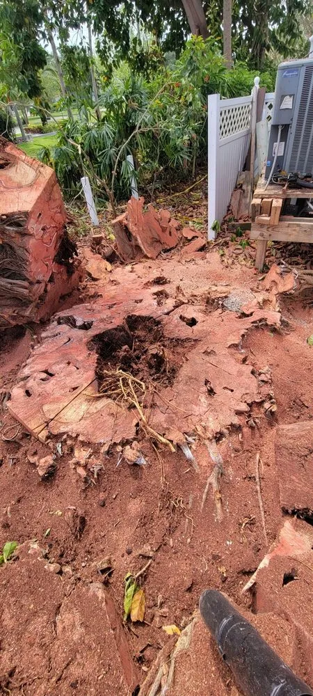 Trusted garden landscaping for beautiful yards across Seminole, FL - Saunders Property Maintenance