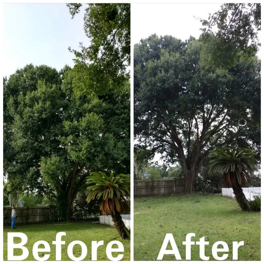 Professional landscaping services for residential properties in Seminole, FL by Saunders Property Maintenance