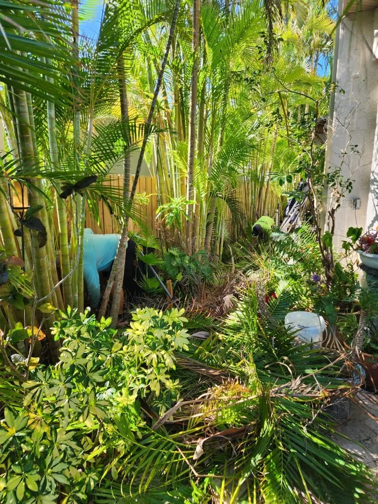 Professional yard cleanup service in Seminole, FL - Saunders Property Maintenance