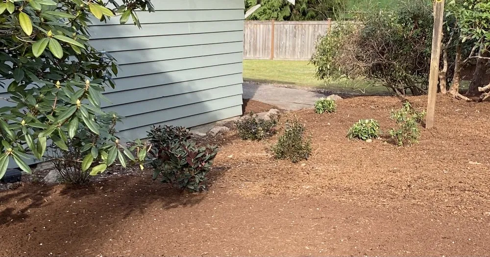 Trusted garden landscaping in Kent, WA - Sauz Landscaping