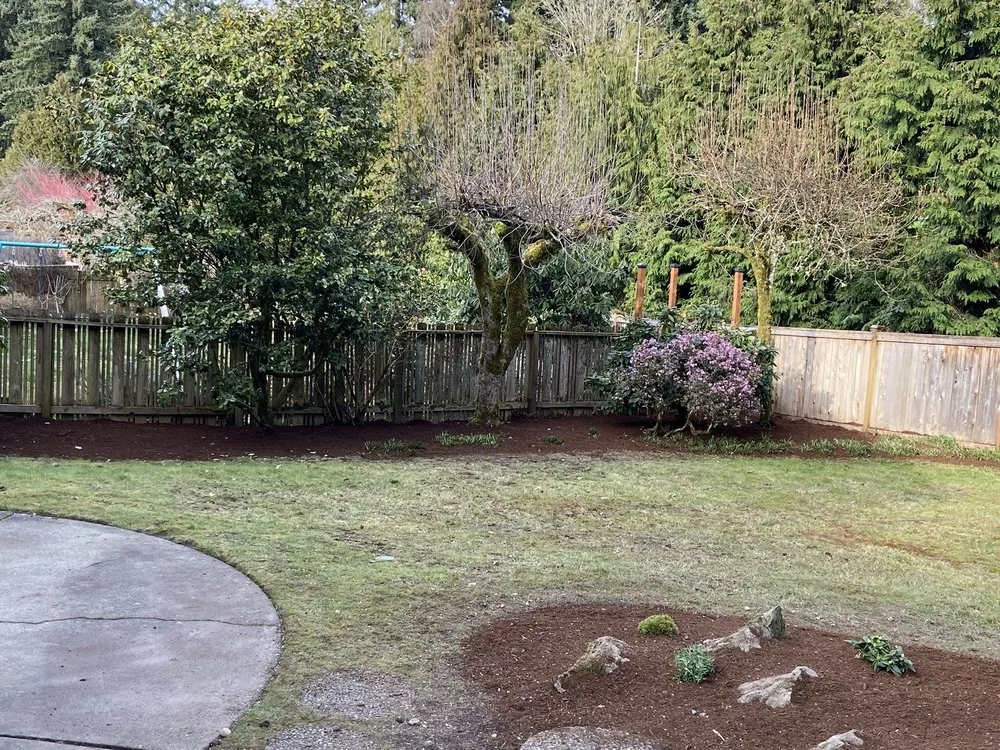 Affordable lawn mowing service experts serving Kent, WA - Sauz Landscaping