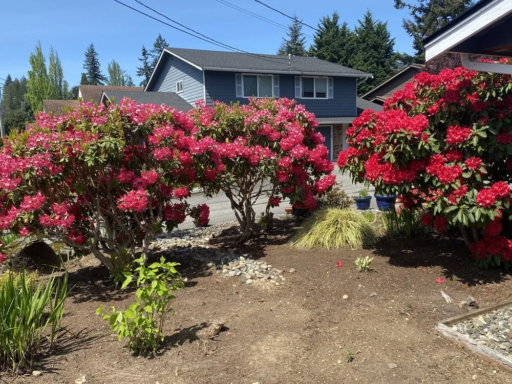 Affordable yard maintenance for homes across Kent, WA - Sauz Landscaping