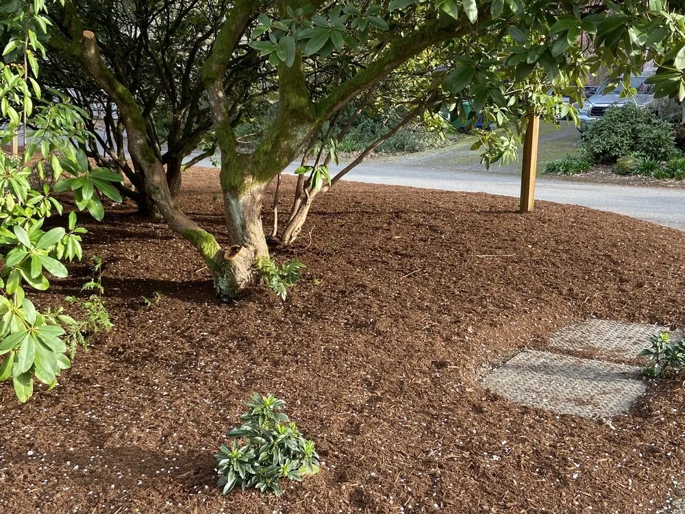 Trusted lawn mowing service for homes across Kent, WA - Sauz Landscaping