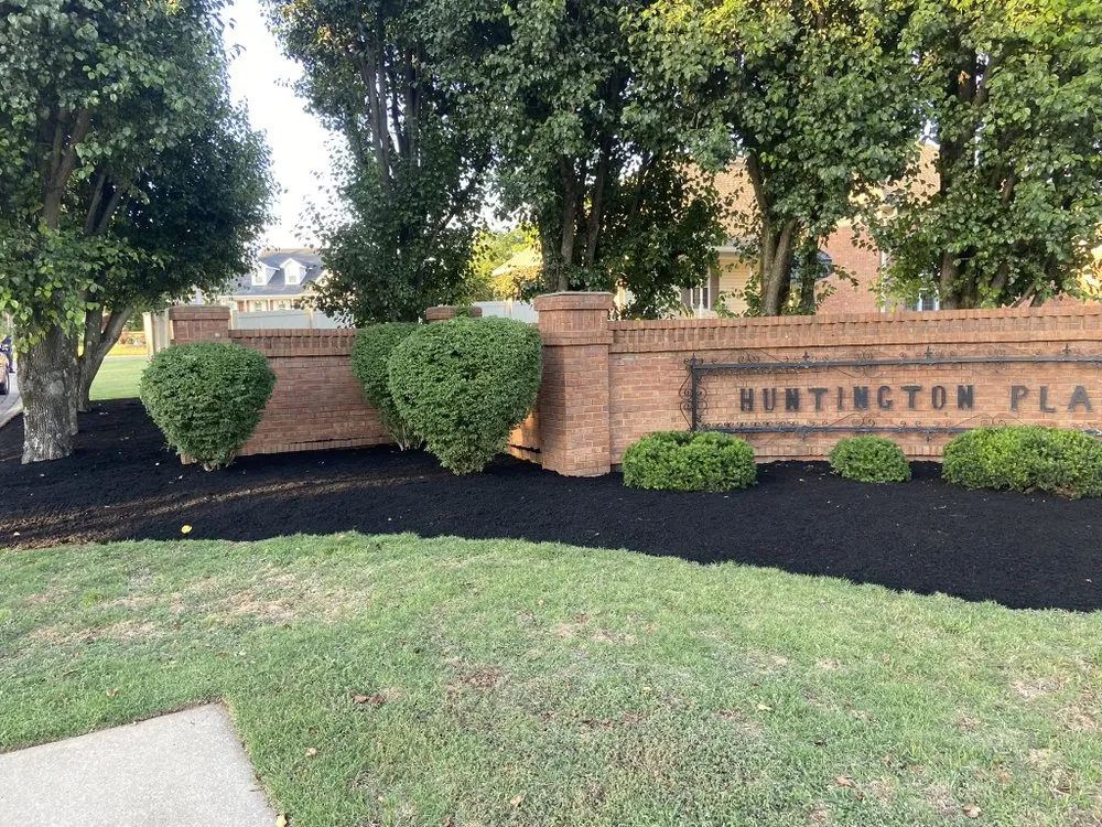 Trusted yard cleanup service near you in Murfreesboro, TN by SAV Landscaping