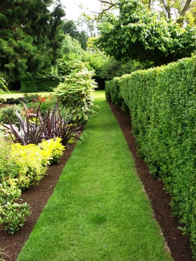 Reliable landscape installation in Princeton, NJ by Sava Garden Landscaping
