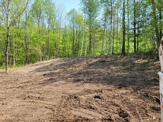 Savage Land Evolution