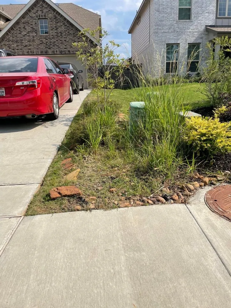 Expert landscaping services experts serving Poway, CA - Savage Landscape