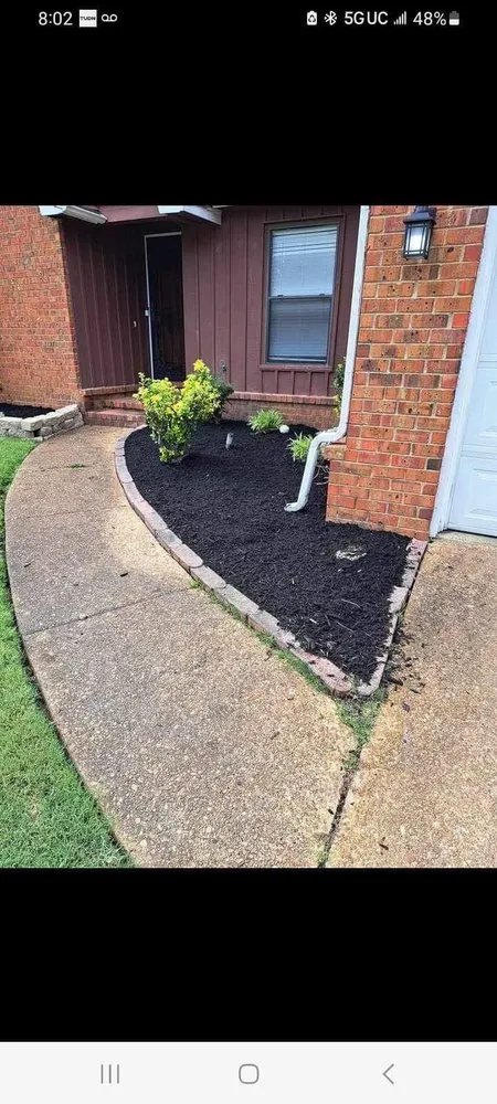 Affordable yard cleanup service for year-round maintenance across Poway, CA - Savage Landscape