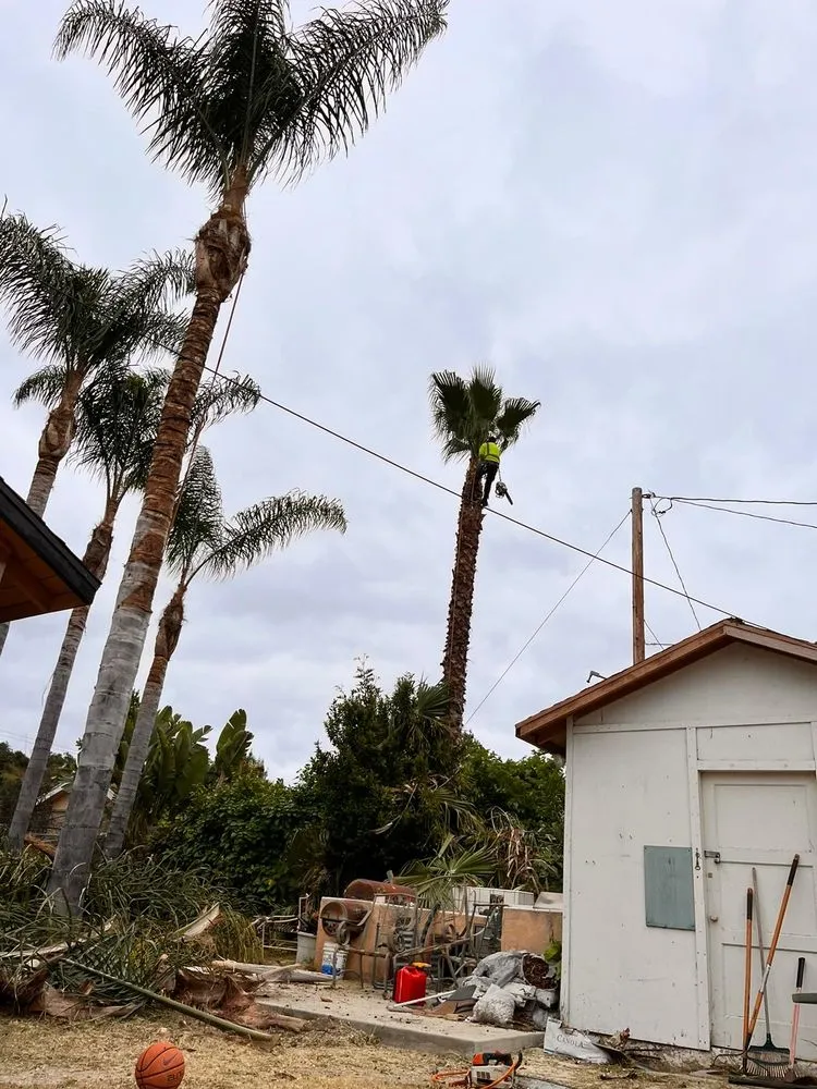 Expert residential landscaping in Poway, CA - Savage Landscape