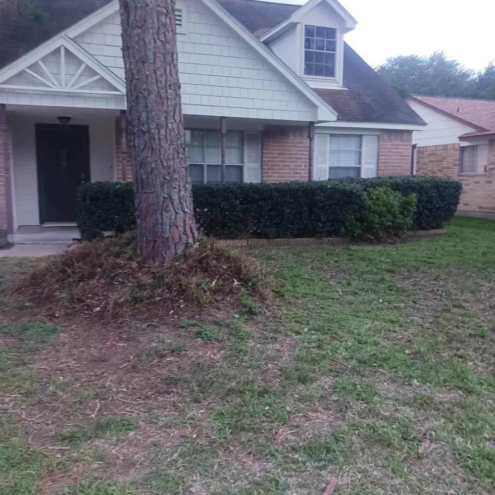 Custom landscaping services in Poway, CA by Savage Landscape