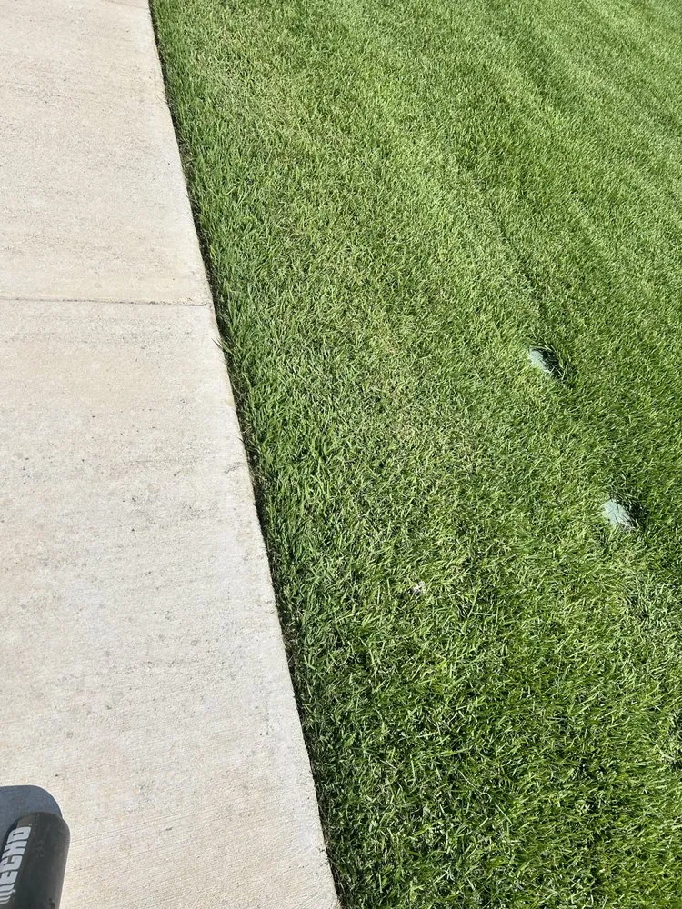 Custom yard cleanup service in Canyon Lake, TX by Savage Landscaping And Irrigation