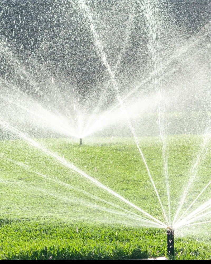 Reliable outdoor landscaping for outdoor upgrades in Canyon Lake, TX by Savage Landscaping And Irrigation