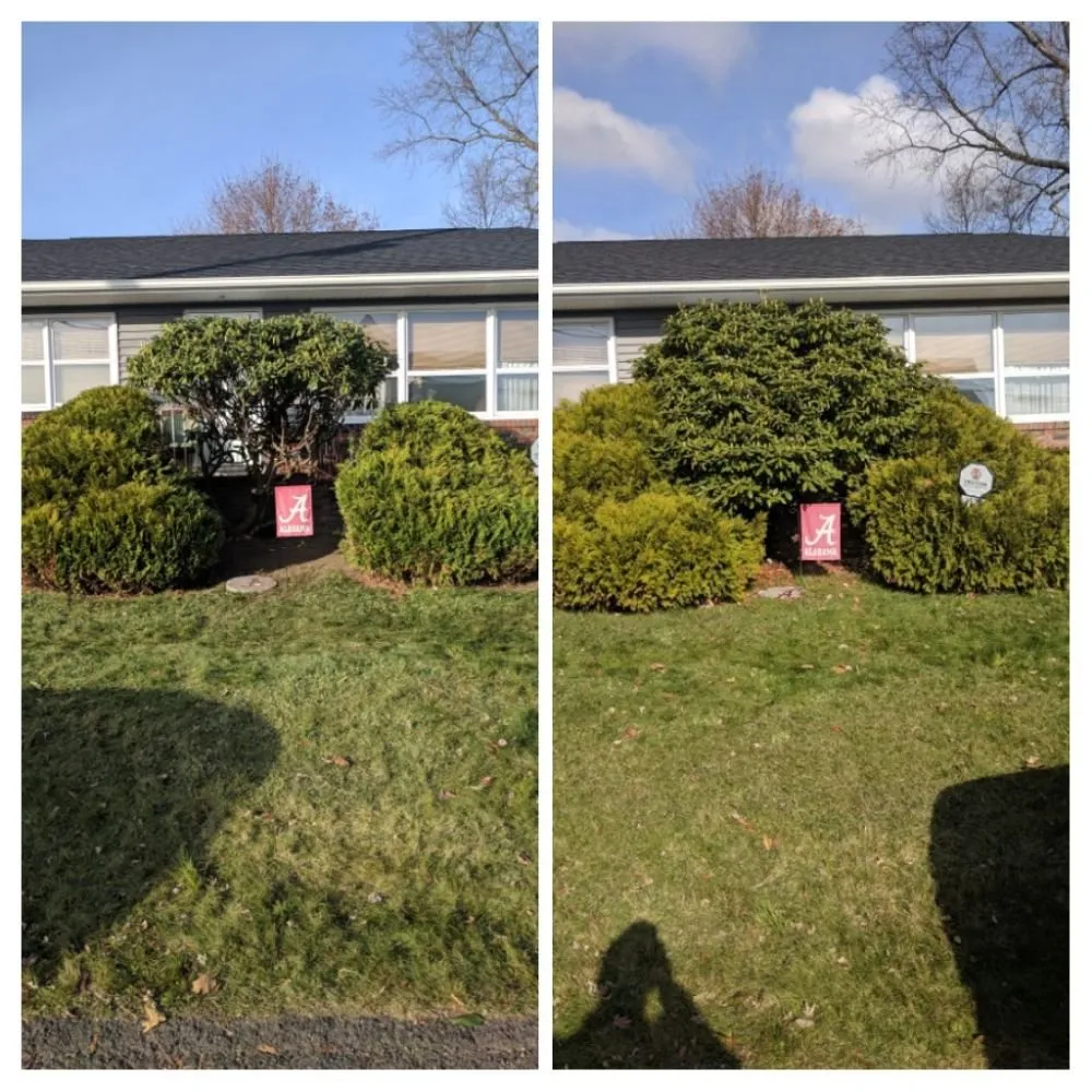 Custom landscaping services for residential properties in Carbondale, PA by Savage Landscaping