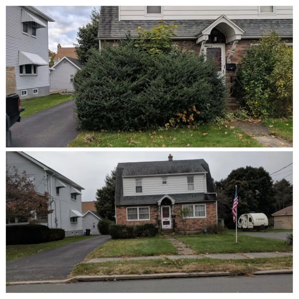 Trusted lawn care service in Carbondale, PA by Savage Landscaping