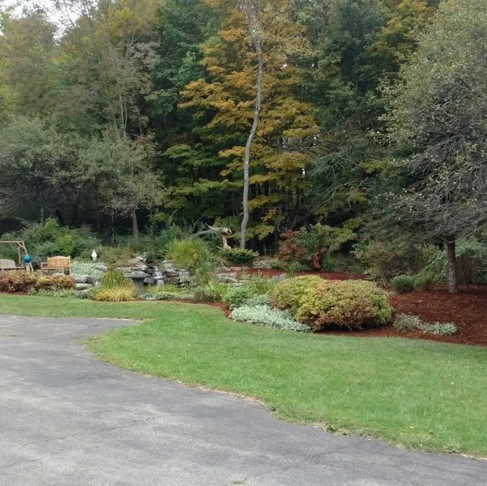 Affordable lawn care service in Carbondale, PA by Savage Landscaping