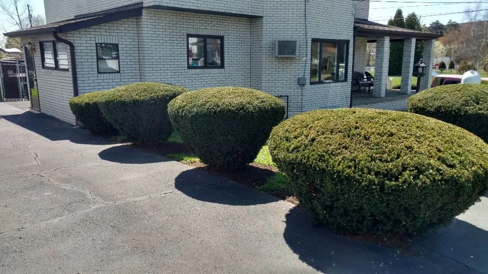 Custom landscaping services for year-round maintenance in Carbondale, PA by Savage Landscaping