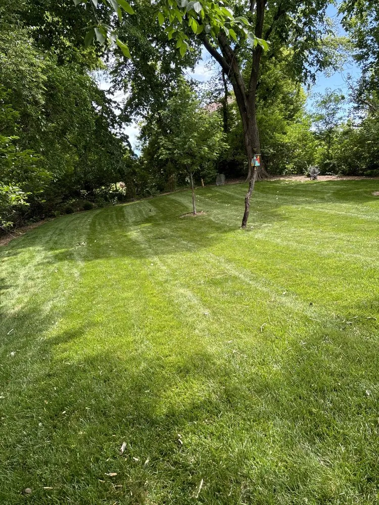 Top-rated residential landscaping in Gilbert, IA by Savage Outdoor Solutions