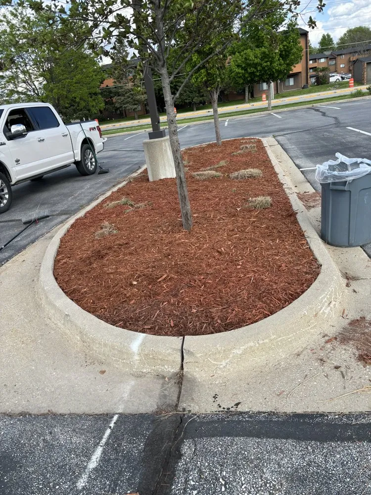 Local yard cleanup service for residential properties across Gilbert, IA - Savage Outdoor Solutions